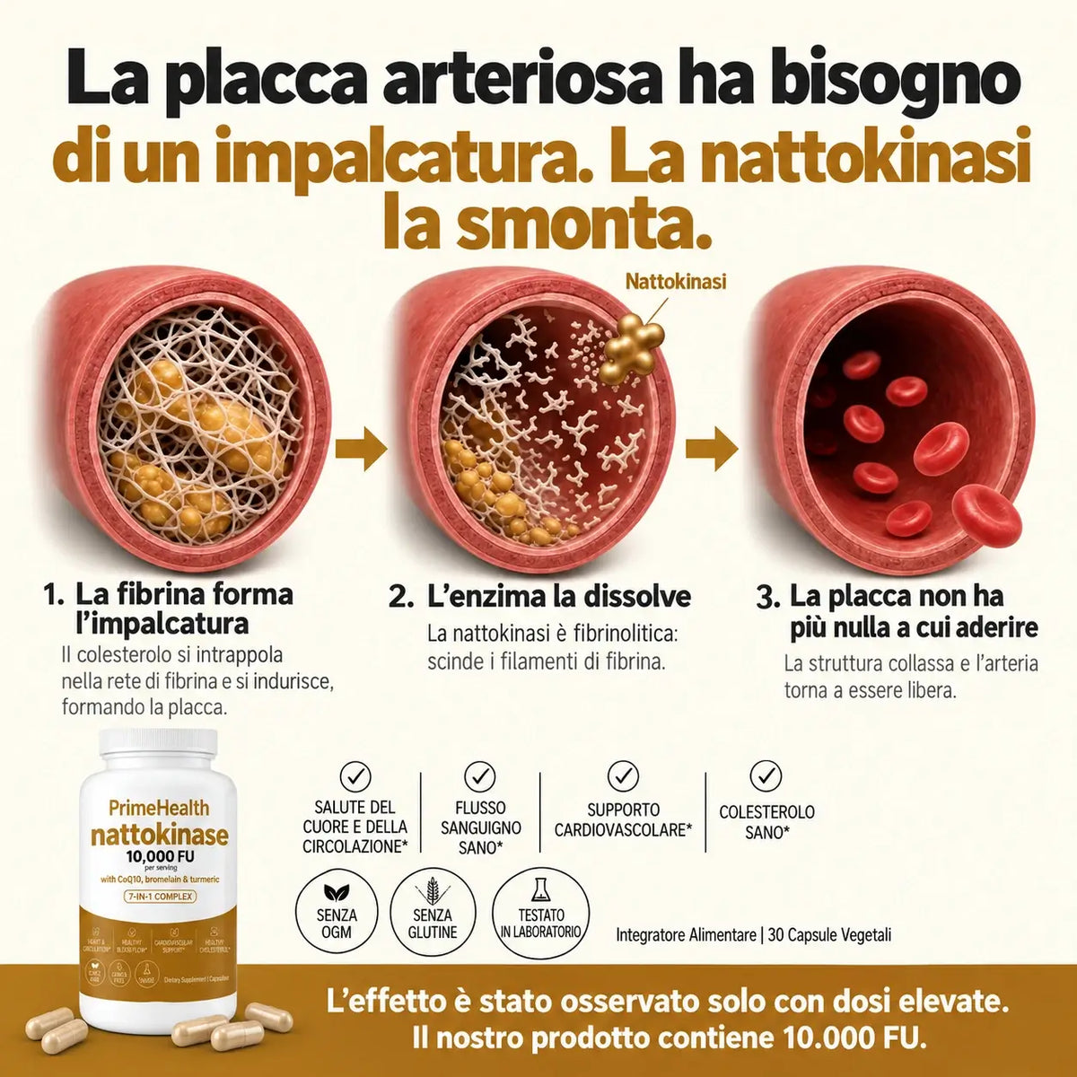 Nattokinasi alla massima potenza 10.000 FU — Supporto alla circolazione