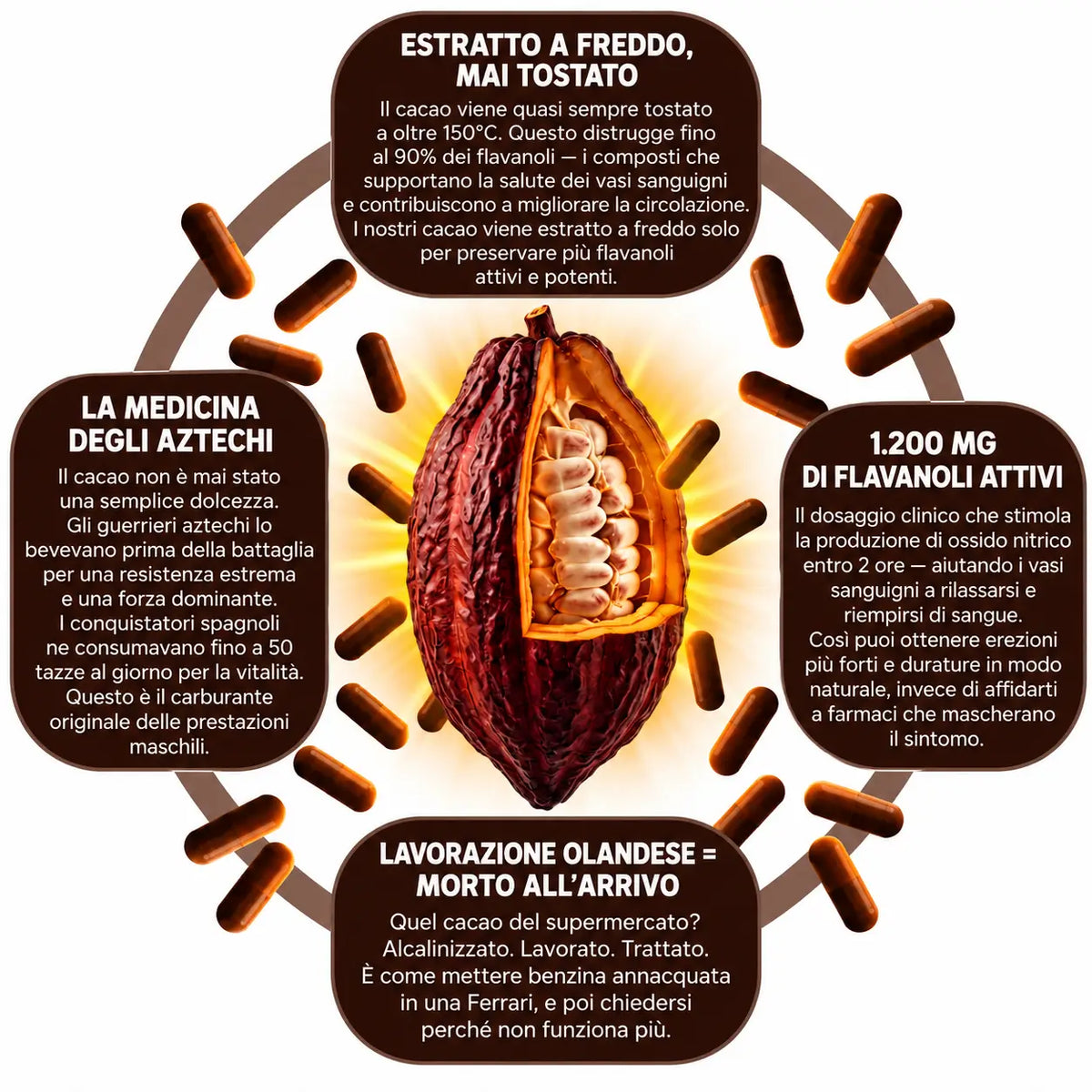 Capsule di Cacao Crudo PrimeHealth per Favorire la Circolazione Sanguigna e la Vitalità Maschile