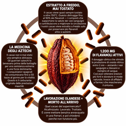 Capsule di Cacao Crudo PrimeHealth per Favorire la Circolazione Sanguigna e la Vitalità Maschile